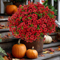 UV Resistant Red Artificial Flowers – Outdoor Home Decor