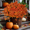 Artificial Mums Flowers: UV Resistant Outdoor Fall Decor - Green & Orange