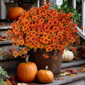 Artificial Mums Flowers: UV Resistant Outdoor Fall Decor - Green & Orange