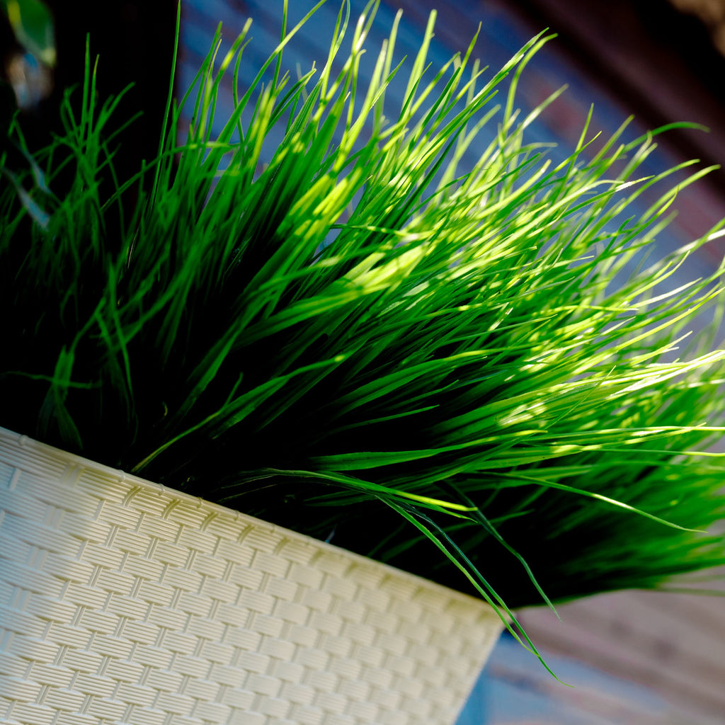 Artificial Wheat Grass: UV Resistant Outdoor Greenery Bundle