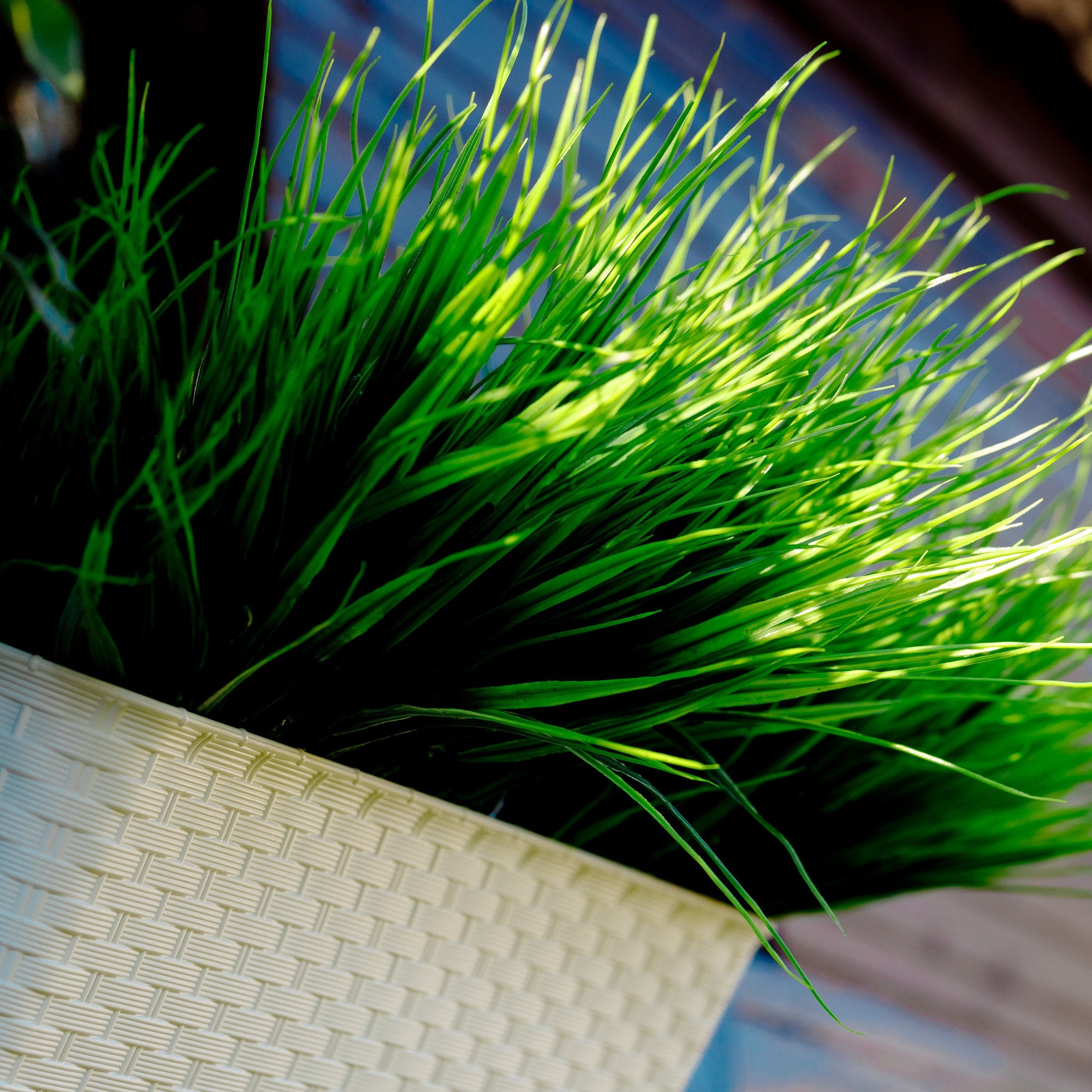 Artificial Wheat Grass: UV Resistant Outdoor Greenery Bundle